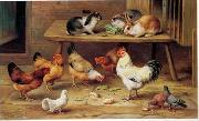 unknow artist Cocks and rabbits 130 France oil painting artist